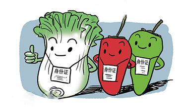 食品追溯系統.jpg